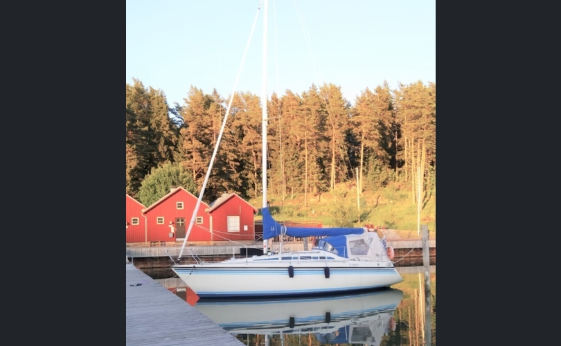Sunwind 311-kuva-12